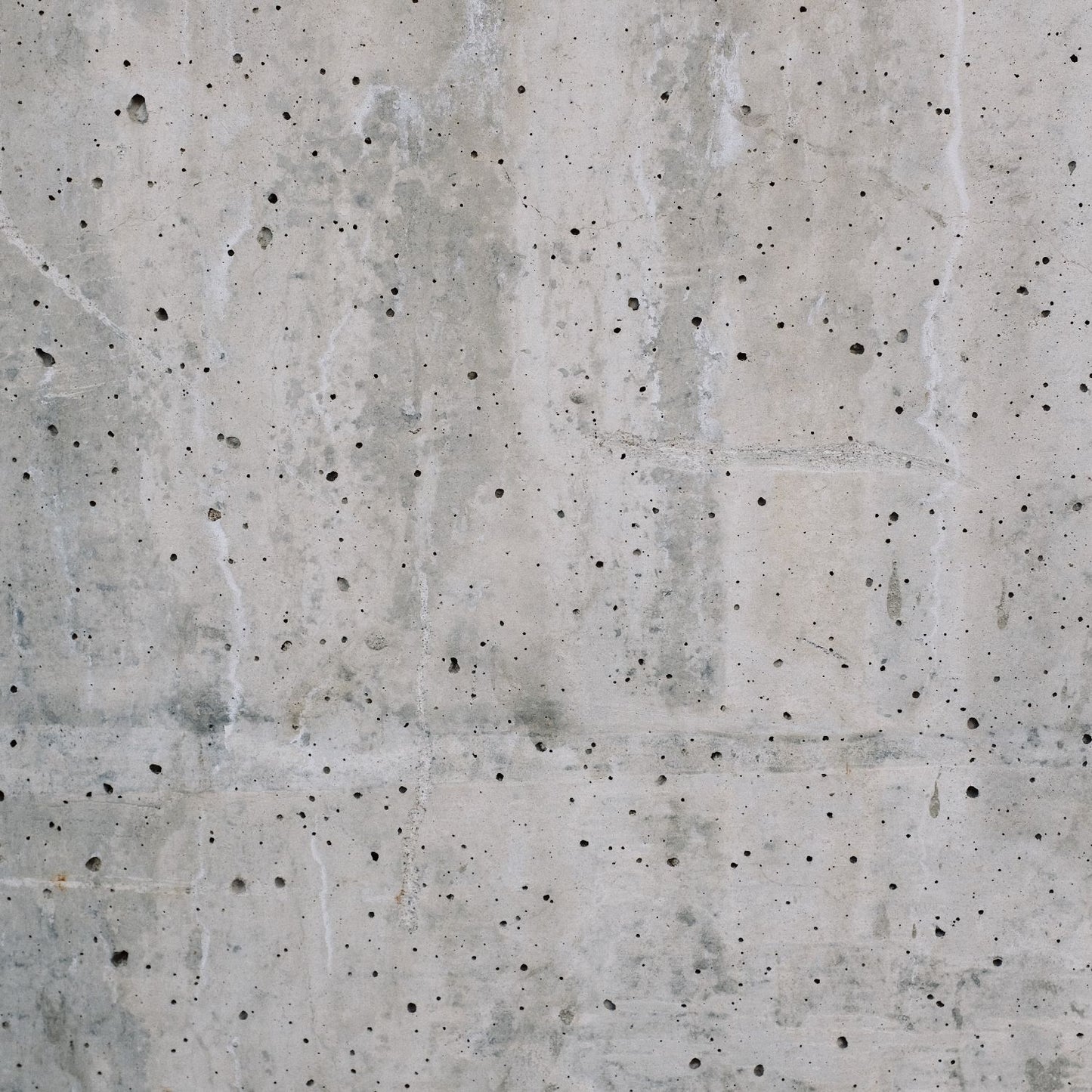 外壁・外構のカビ取り・防カビ作業