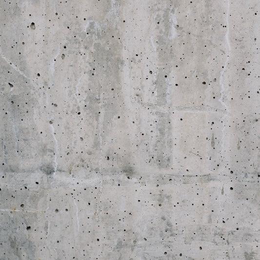 外壁・外構のカビ取り・防カビ作業